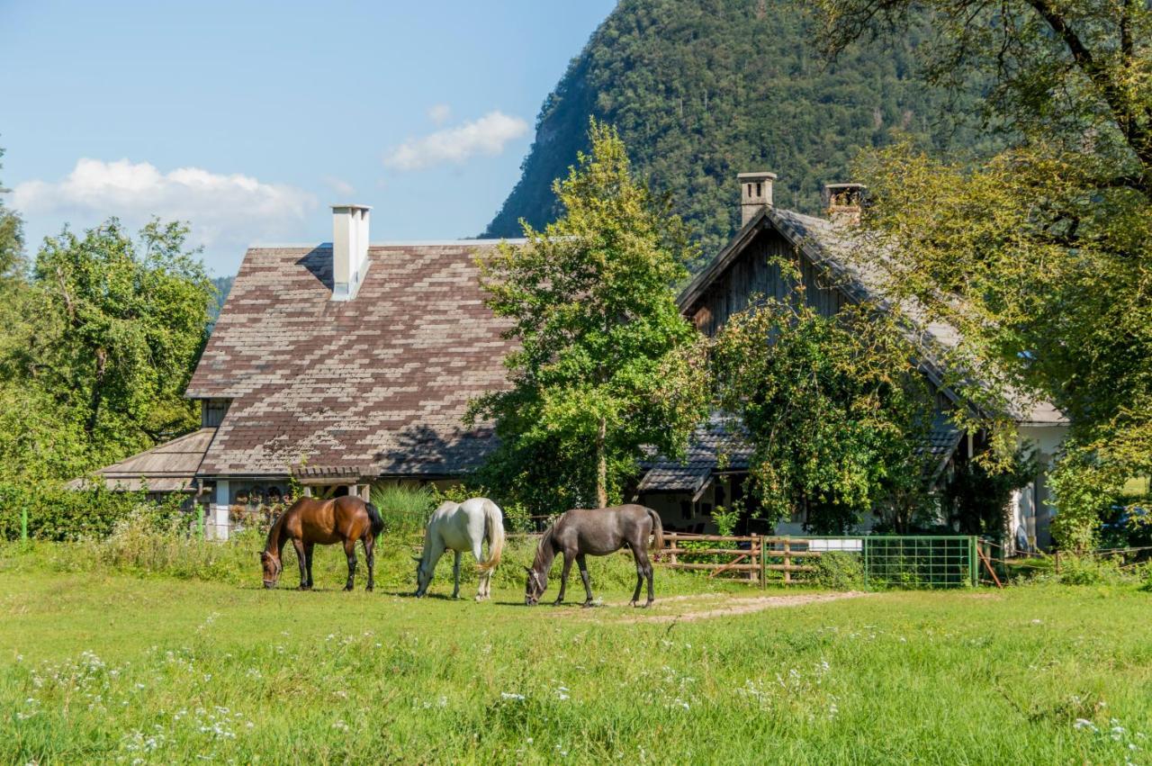 Charming Blacksmith'S House @ Lake Бохінь Екстер'єр фото
