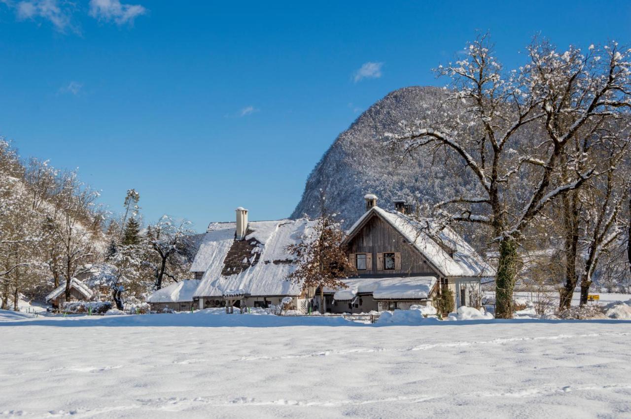 Charming Blacksmith'S House @ Lake Бохінь Екстер'єр фото